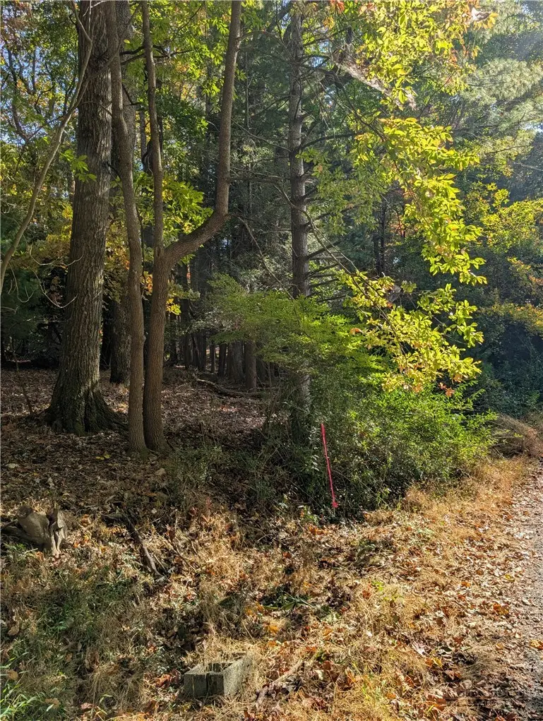 tbd Parkway Lane, Sparta, NC 28675 - #2