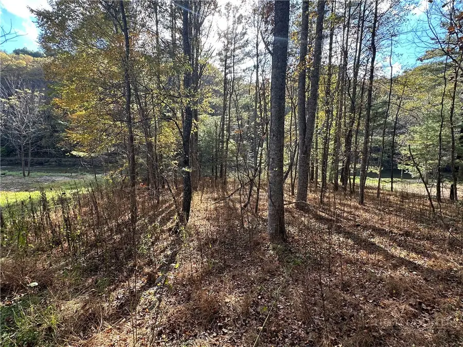 TBD River Front Drive, Jefferson, NC 28640 - #2