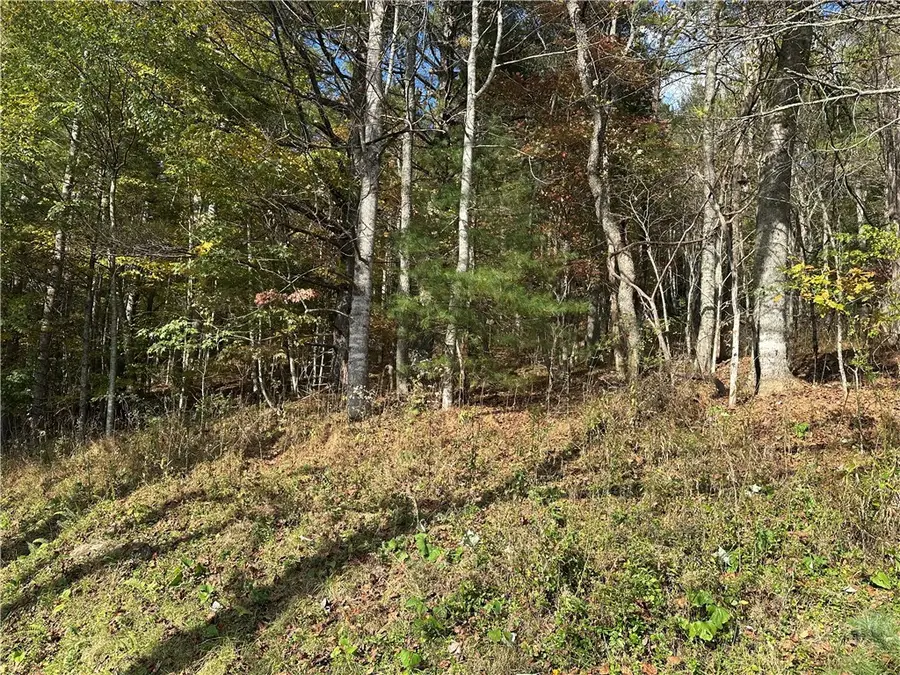TBD River Front Drive, Jefferson, NC 28640 - #3