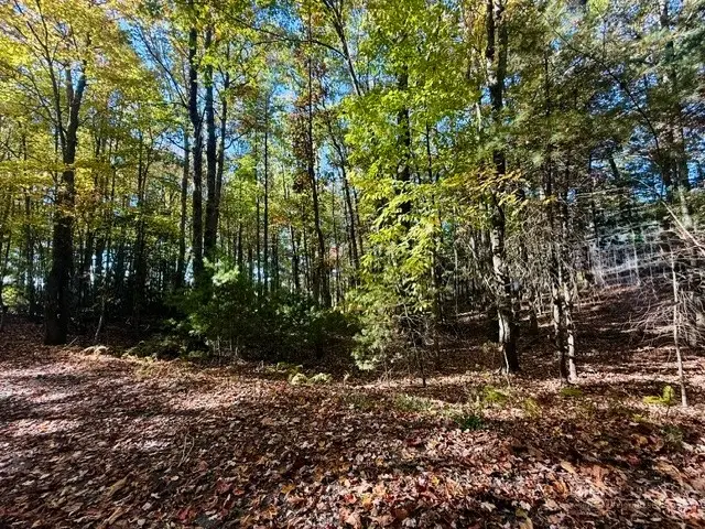 11 Greenview, Jefferson, NC 28640 - #1