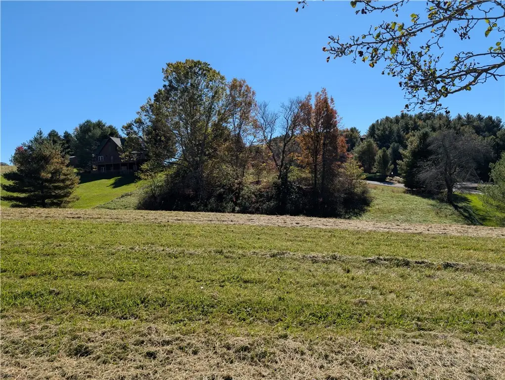 TBD Bear Den Road, Sparta, NC 28675 - #1