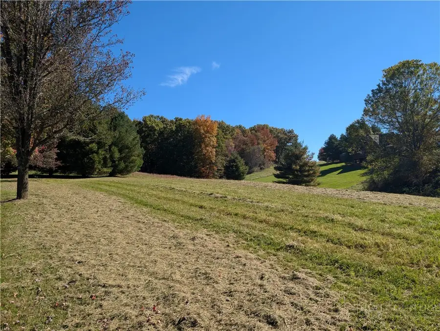 TBD Bear Den Road, Sparta, NC 28675 - #2