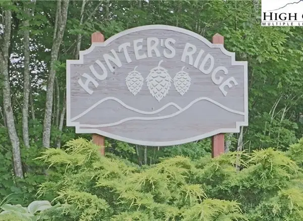 TBD Nettles Ridge #31, Banner Elk, NC 28604
