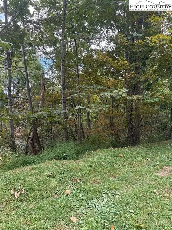 TBD Nettles Ridge #31, Banner Elk, NC 28604 - #2