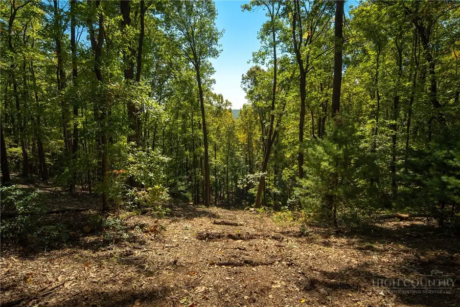 1245 Reynolds Parkway, Boone, NC 28607 - #2