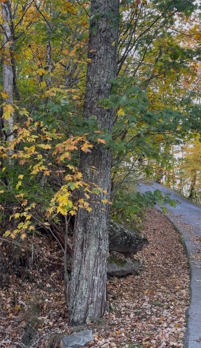 TBD Wakeman Way, Banner Elk, NC 28604 - #2
