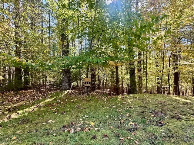 Lot 34 Woodland Valley Road, Jefferson, NC 28640 - #1