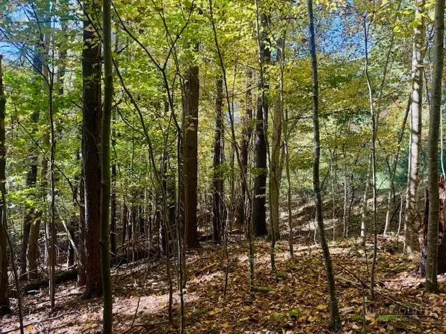 Lot 34 Woodland Valley Road, Jefferson, NC 28640 - #3