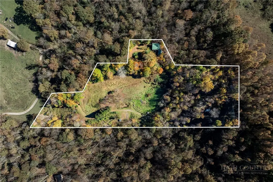 246 Springfield Road, Vilas, NC 28692 - #1