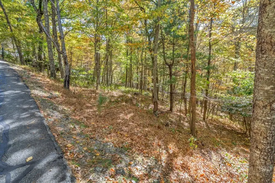 Lot 4 Goshen Drive, Boone, NC 28607 - #3