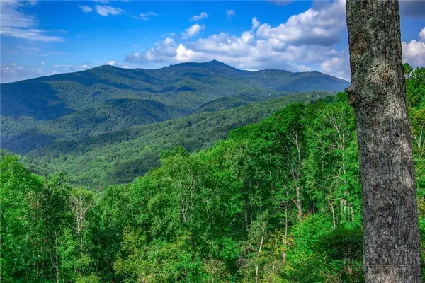 TBD Forest Trail, Blowing Rock, NC 28605