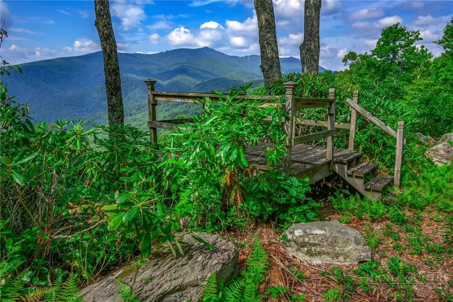 TBD Forest Trail, Blowing Rock, NC 28605 - #3