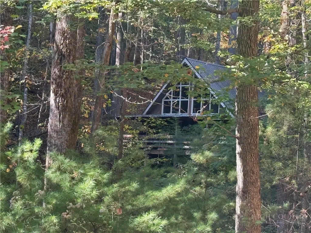 419 Saddle Lane, Deep Gap, NC 28618 - #1