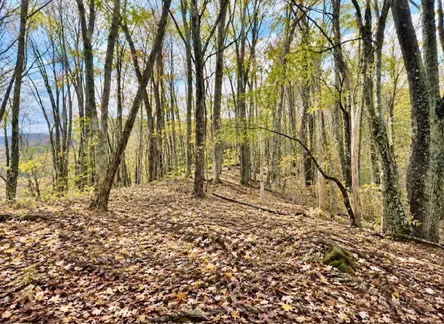 TBD Hwy 88w Highway, Warrensville, NC 28693 - #1
