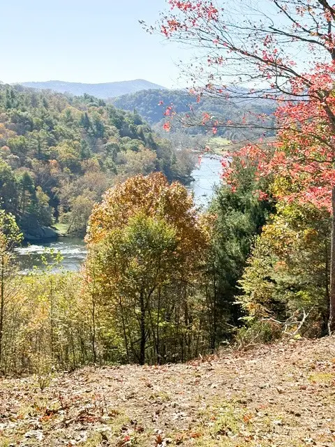 555 Duck Roost Lane, Mouth of Wilson, VA 24363