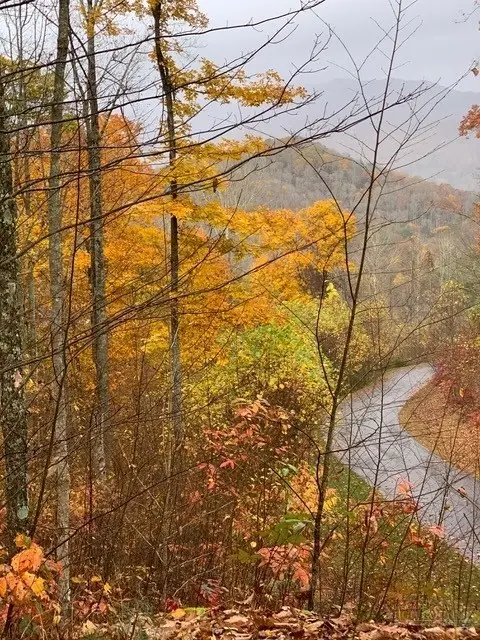 Lot 18 Jackson Ridge Road, Boone, NC 28607 - #2