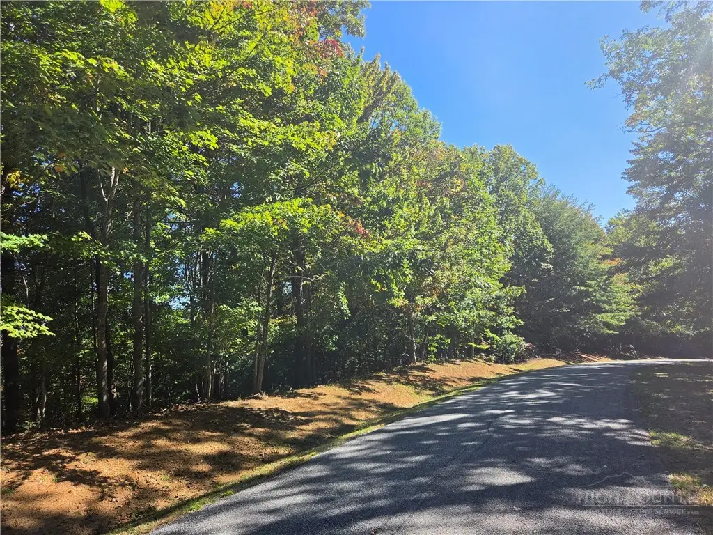 29 Elk Ridge Road, Ferguson, NC 28624 - #1