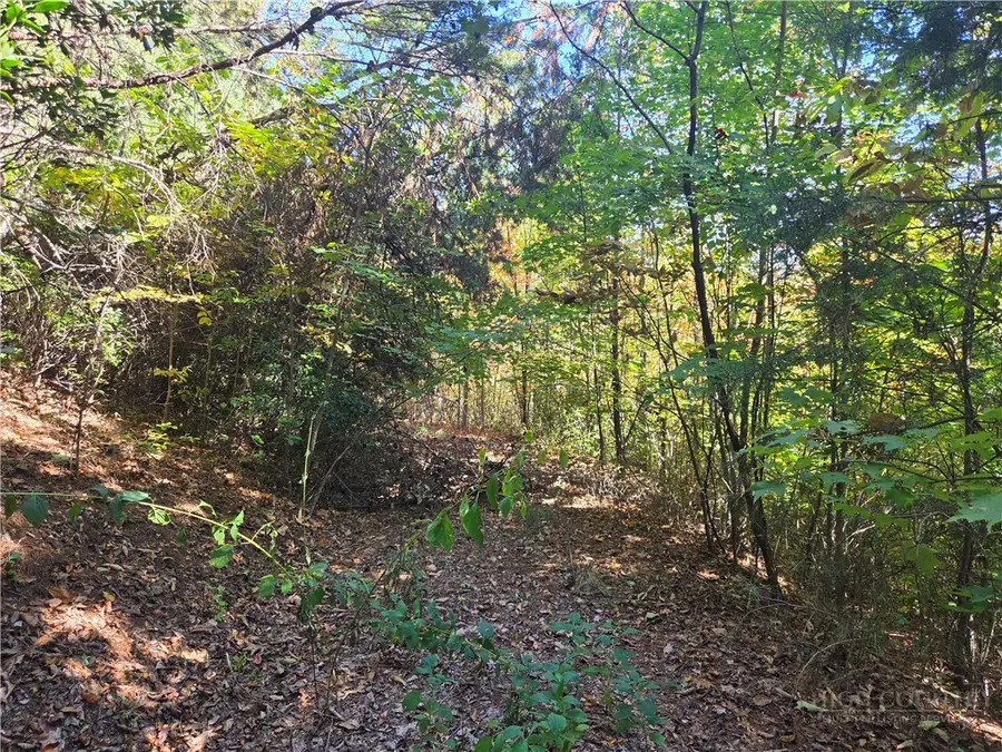 29 Elk Ridge Road, Ferguson, NC 28624 - #3