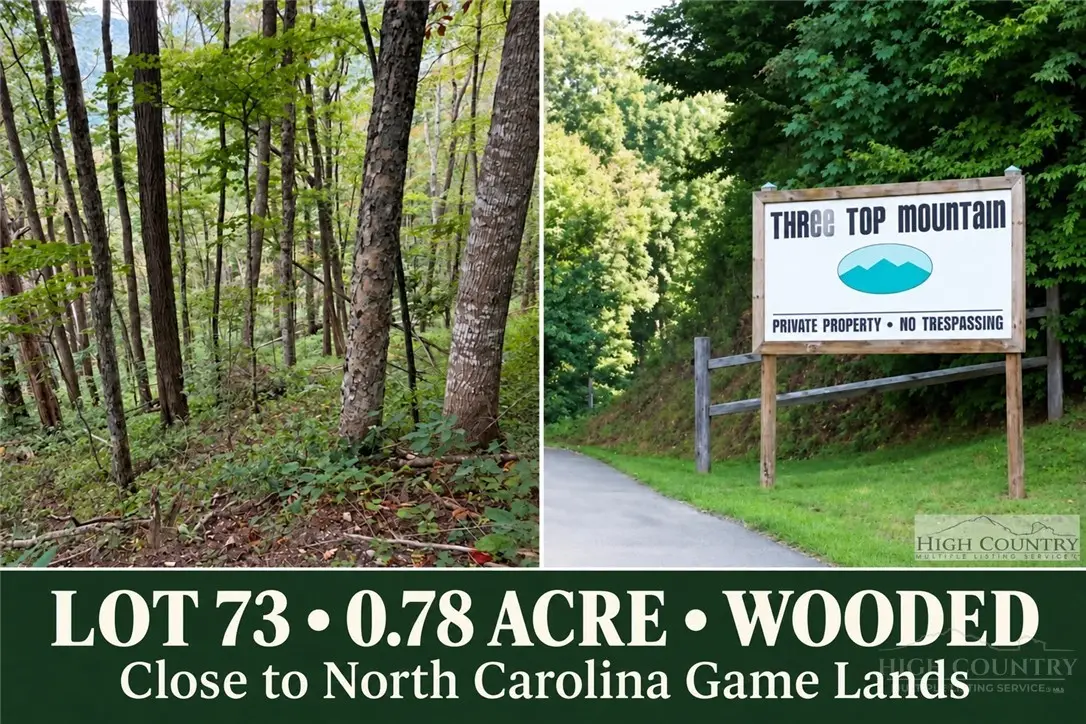 Lot 73 Tbd Poplar Trail, Creston, NC 28615 - #1