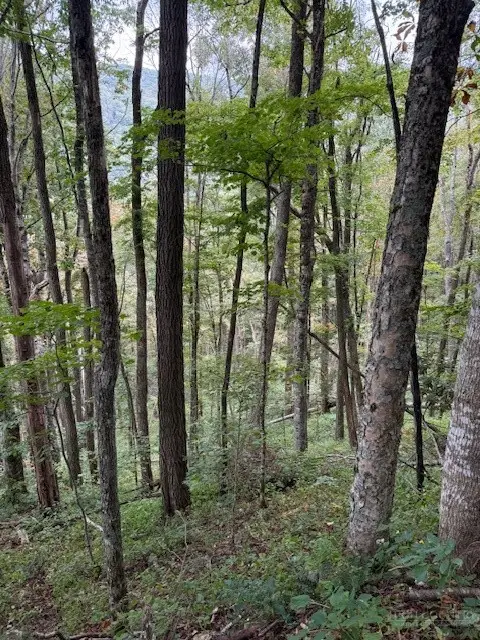 Lot 73 Tbd Poplar Trail, Creston, NC 28615 - #2
