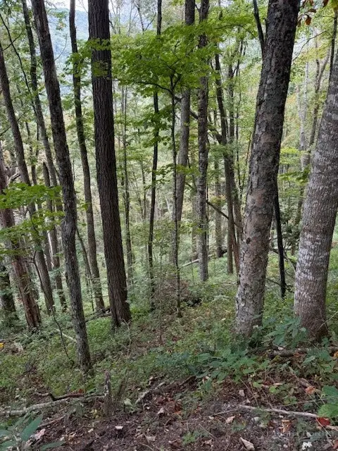 Lot 73 Tbd Poplar Trail, Creston, NC 28615 - #3