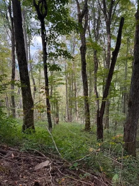 Lot 74a Tbd Poplar Trail, Creston, NC 28615 - #2