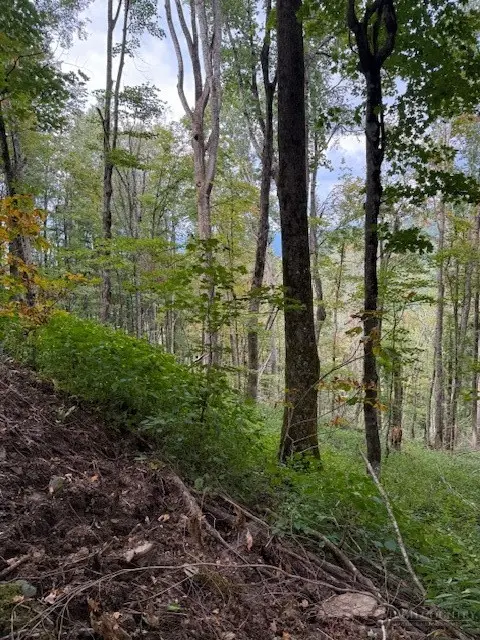 Lot 74a Tbd Poplar Trail, Creston, NC 28615 - #3