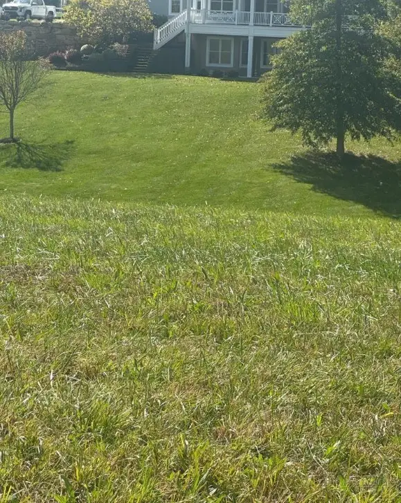 Lot 219 Canterbury Drive, North Wilkesboro, NC 28659