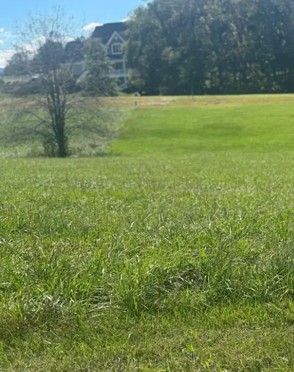 Lot 206 Canterbury Drive, North Wilkesboro, NC 28659