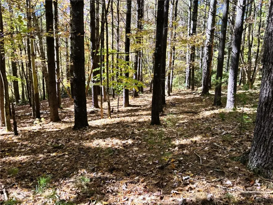 Lot #25 Cedar Ridge Drive, Todd, NC 28684 - #3