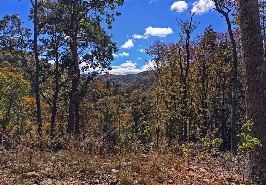 C-125 Springwater Lane, Banner Elk, NC 28604 - #2