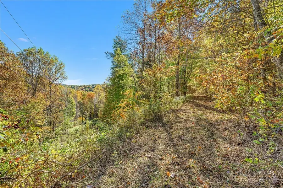 TBD Windy Hollow Trail, Todd, NC 28684 - #2