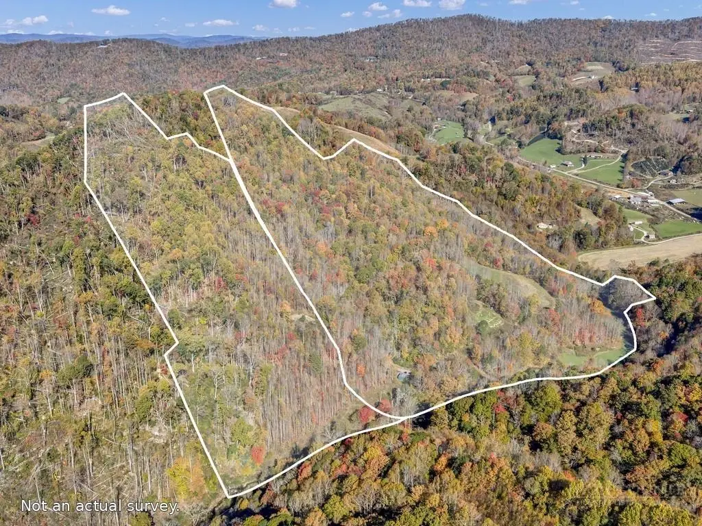 2301 Beaver Dam Road, Vilas, NC 28692 - #1