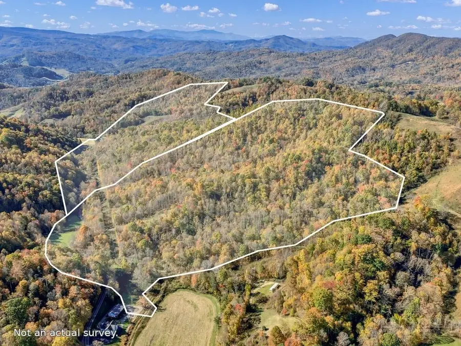 2301 Beaver Dam Road, Vilas, NC 28692 - #2