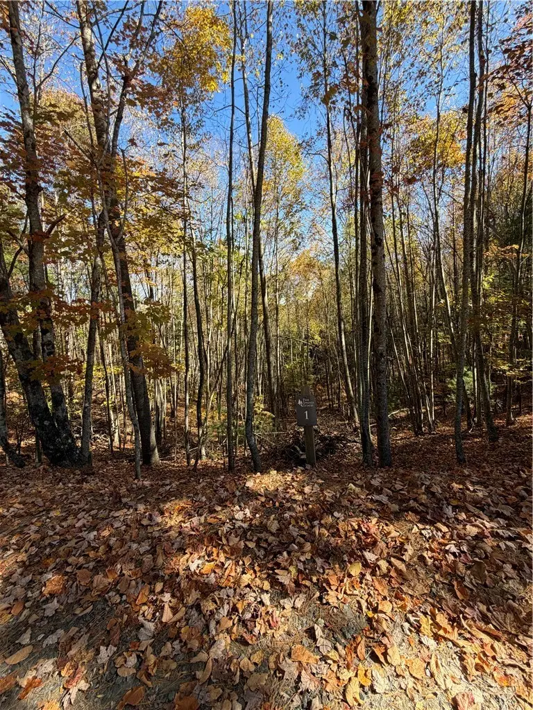 TBD Lower Springs Drive, Jefferson, NC 28640 - #1