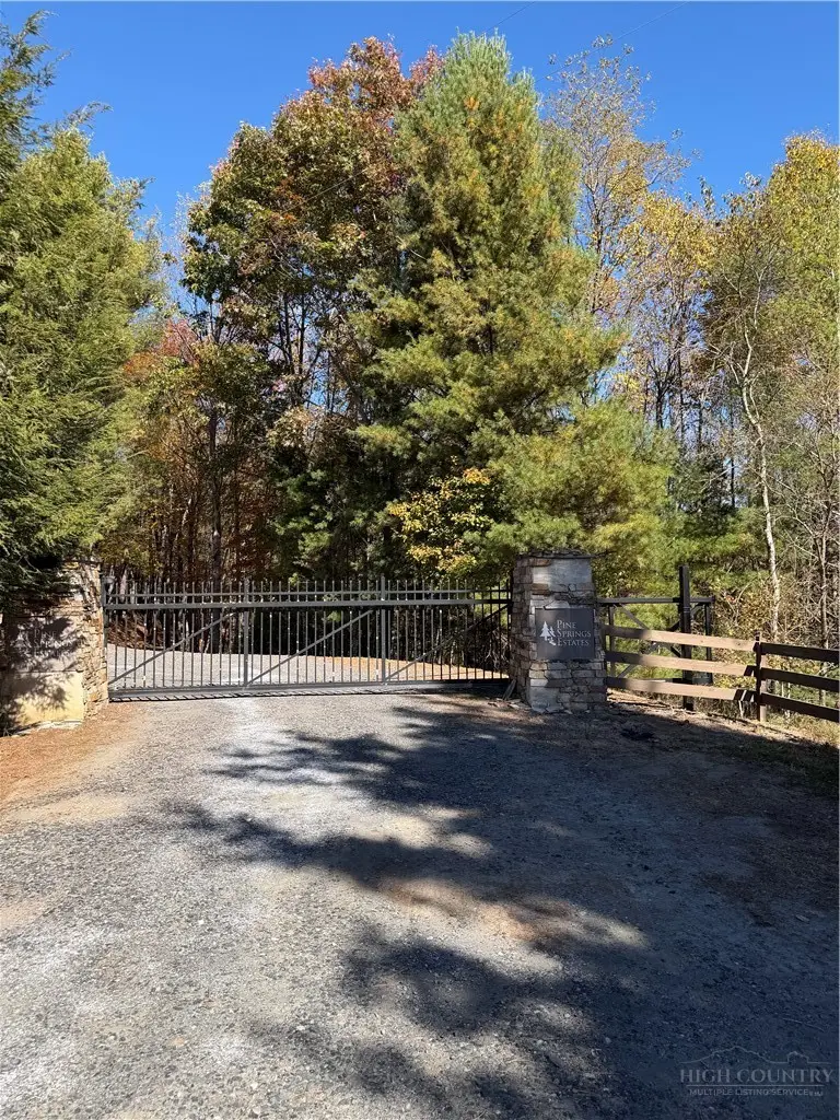 TBD Lower Springs Drive, Jefferson, NC 28640 - #2