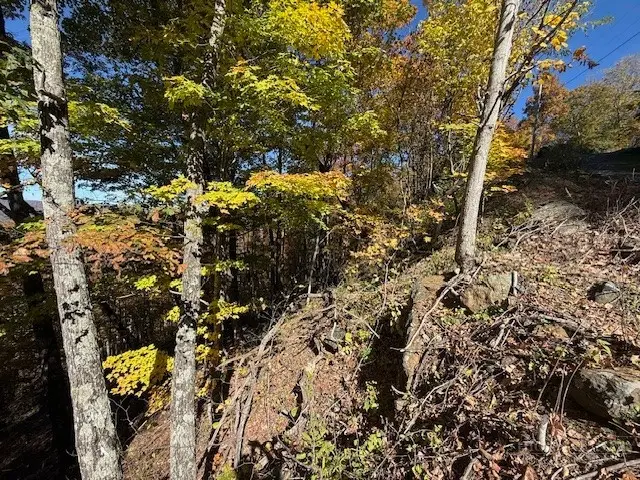 Lot 50-51 Poplar Trail, Creston, NC 28615 - #2