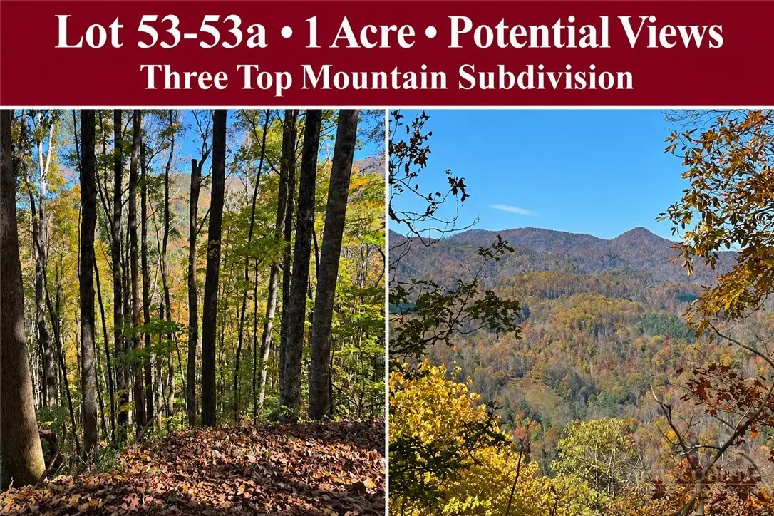 Lot 53 & 53a Poplar Trail, Creston, NC 28615 - #1