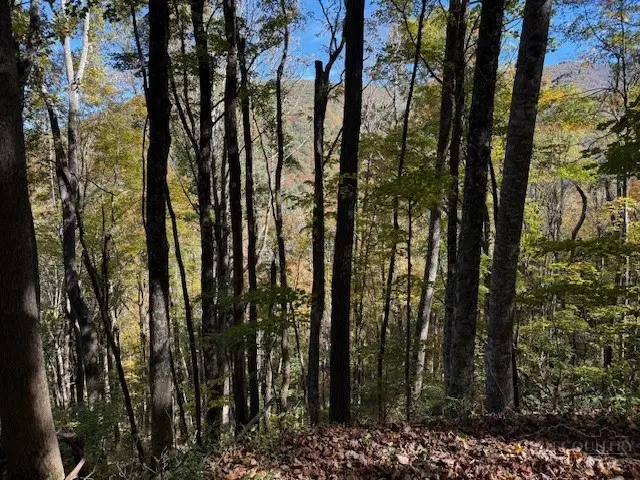 Lot 53 & 53a Poplar Trail, Creston, NC 28615 - #2
