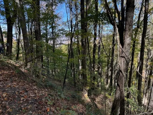 Lot 53 & 53a Poplar Trail, Creston, NC 28615 - #3