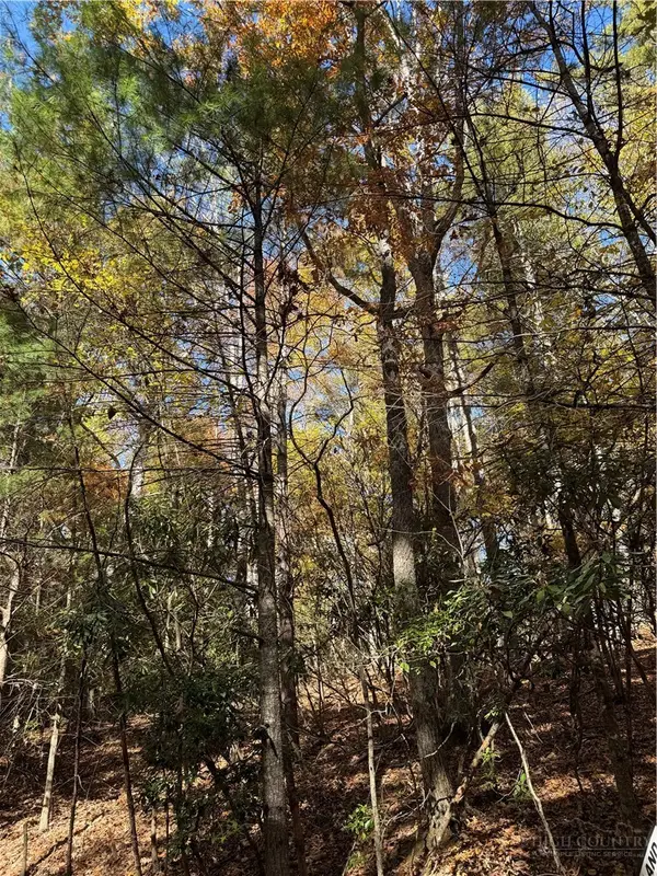 TBD W Seventy Sixth Drive, West Jefferson, NC 28694
