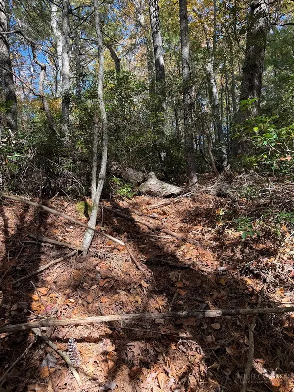 TBD W Liberty Court Drive, West Jefferson, NC 28694