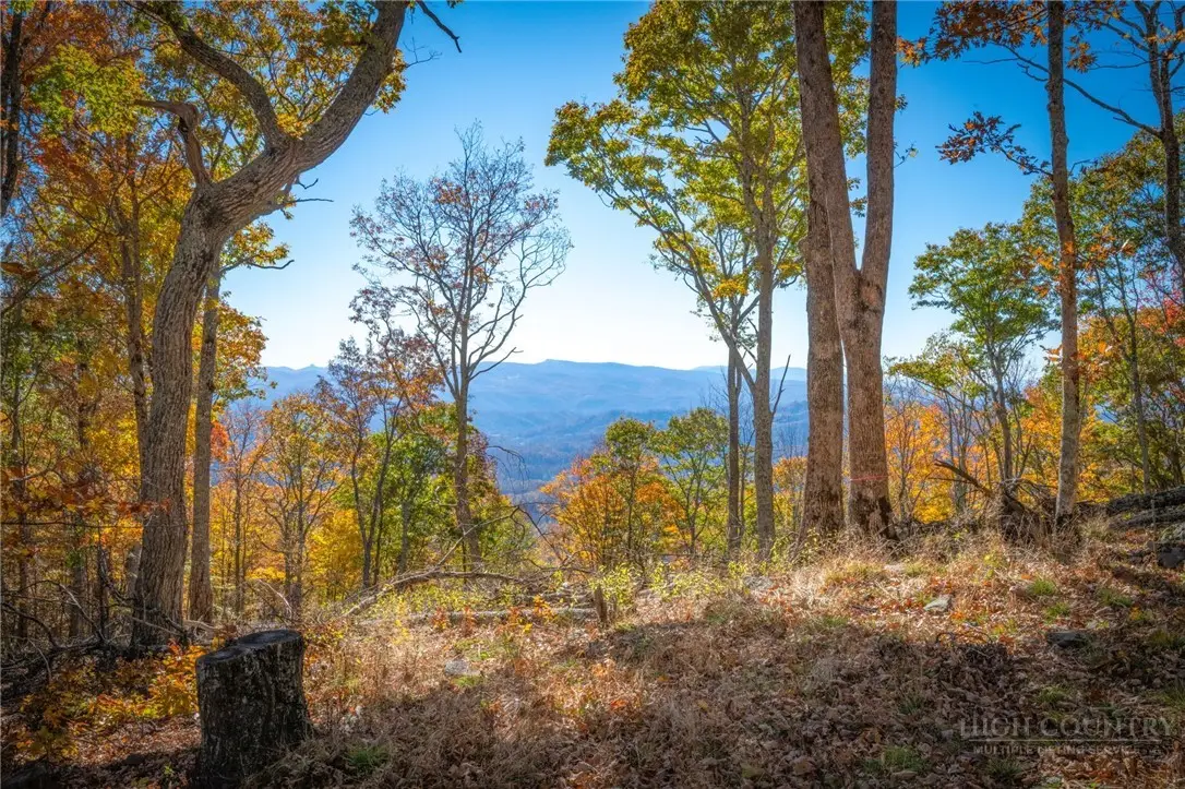 567 Goat Mountain Road, Zionville, NC 28698 - #1