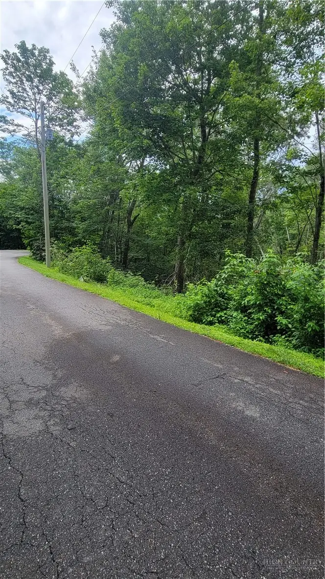 TBD Hemlock Drive, Newland, NC 28657 - #2