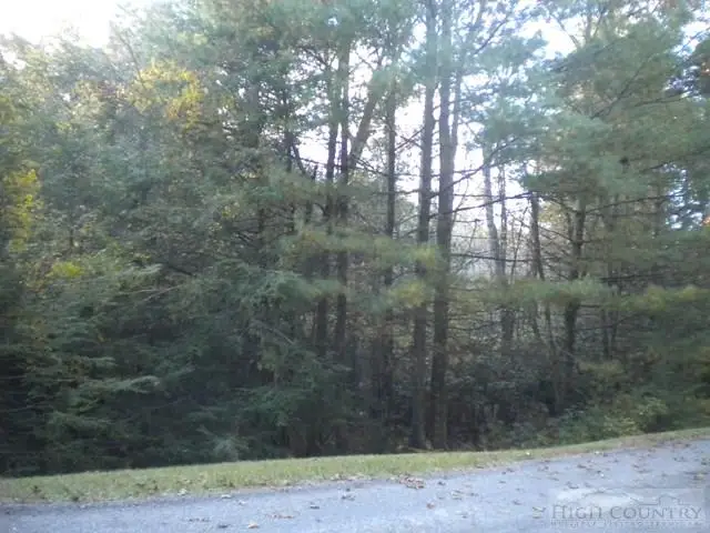 Lot 1 Pine Chase, Glade Valley, NC 28627 - Image #1