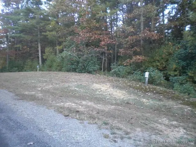 Lot 13 Pine Chase, Glade Valley, NC 28627 - Image #1