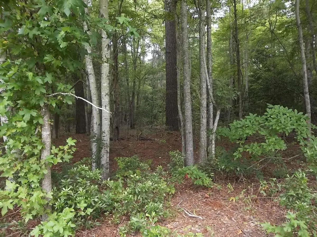 TBD N North River Landing Road Lot # A, Grandy, NC 27939 - Image #1