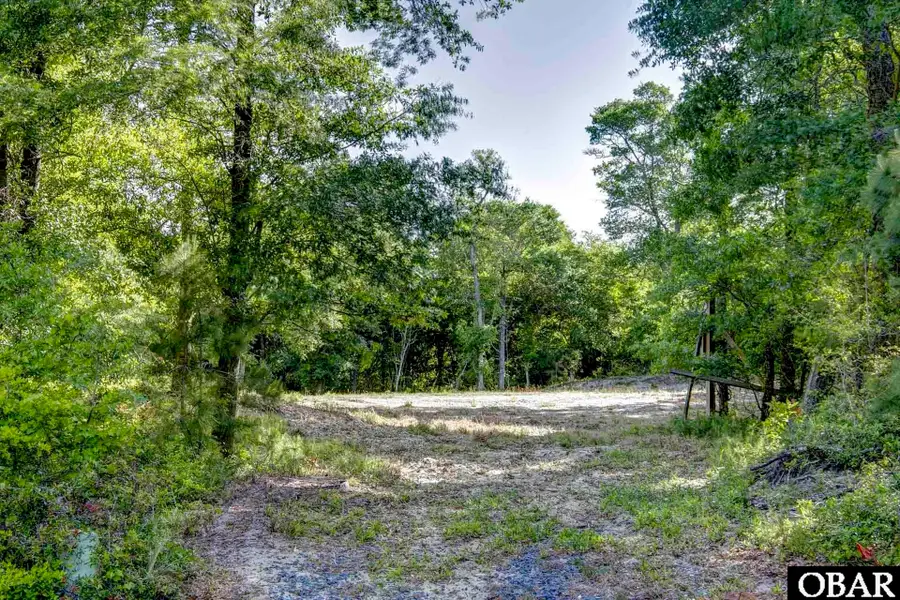 47203 Arrow Leaf Circle Lot #47, Buxton, NC 27920 - Image #2