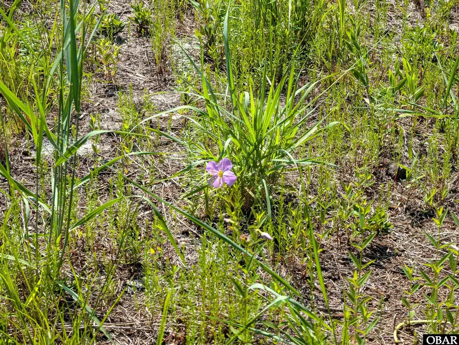 2366 Swan Island Road Lot 5, Corolla, NC 27927 - Image #3