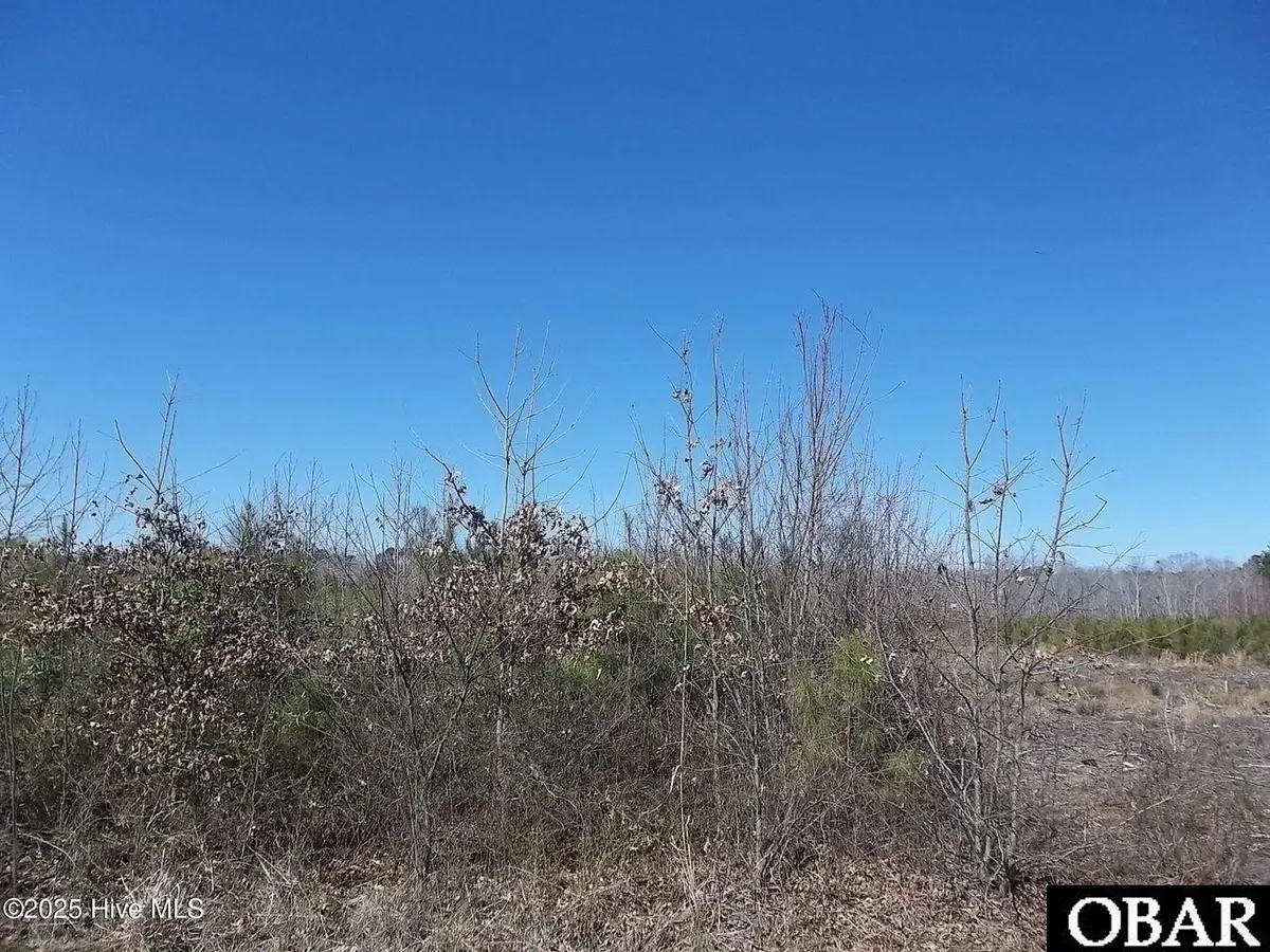 TBD Boat Ramp Road, Hertford, NC 27944 - #1